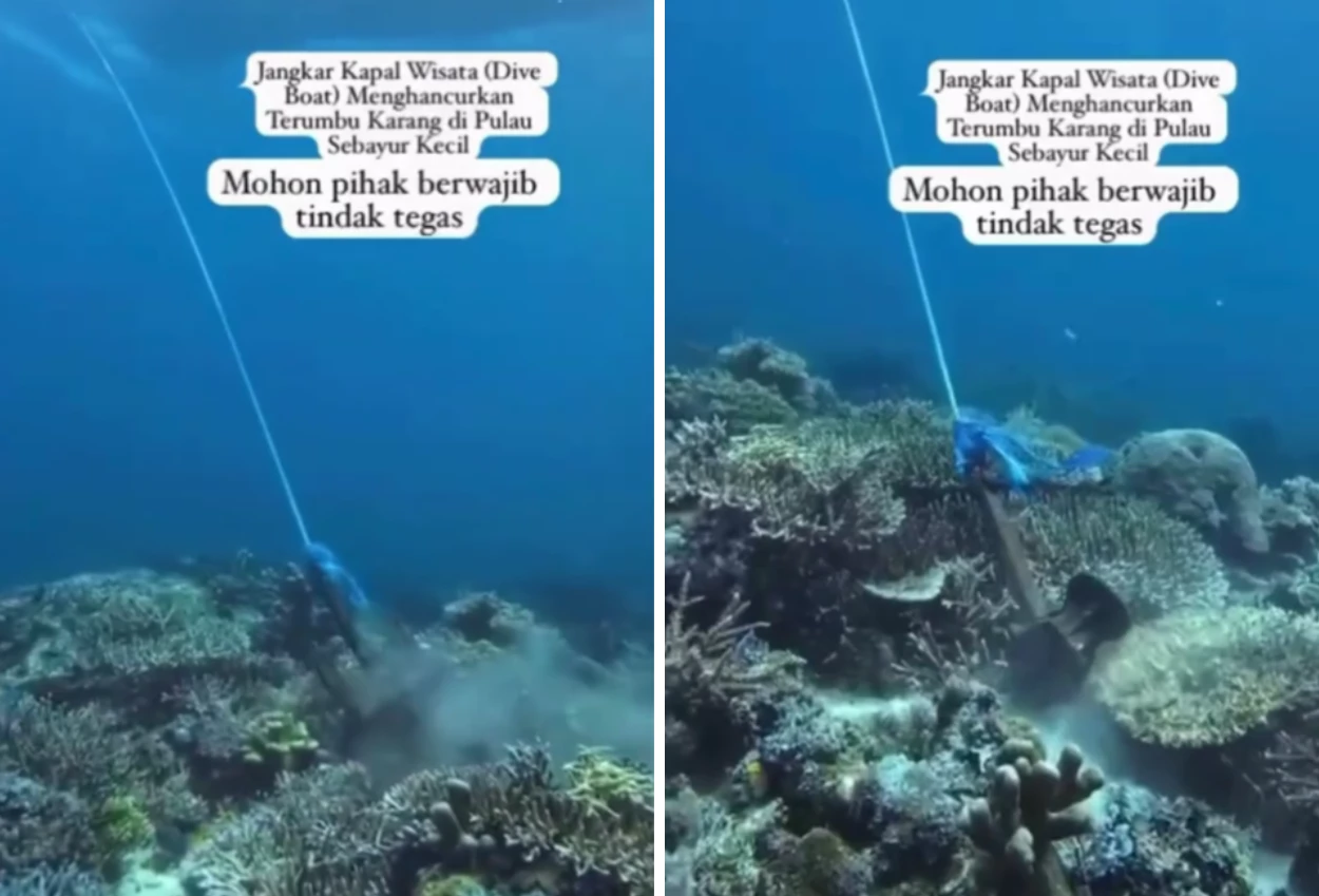 Viral! jangkar kapal wisata rusak terumbu karang di labuan bajo