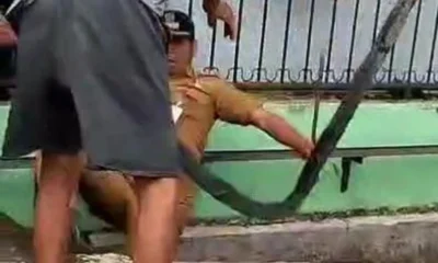 Warga di medan terancam bui usai dorong lurah ke parit