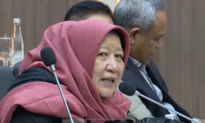 Anggota baleg dpr minta ganja dilegalkan untuk obat obatan