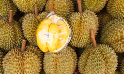 Asosiasi minta durian jadi buah nasional malaysia, bakal ada hari durian nasional
