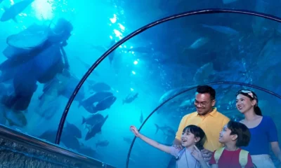 Daftar promo ancol spesial 11.11