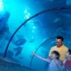 Daftar promo ancol spesial 11.11