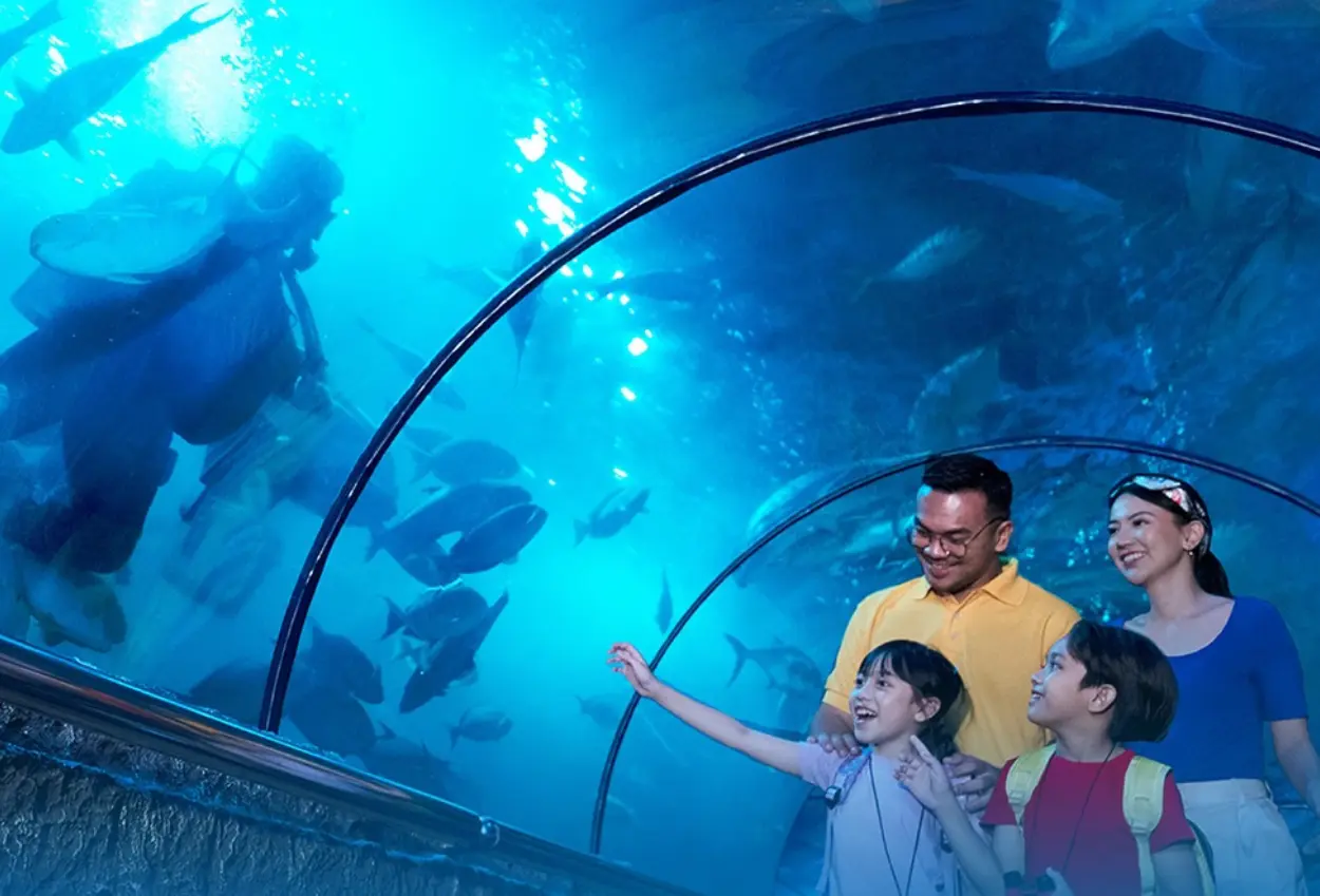 Daftar promo ancol spesial 11.11