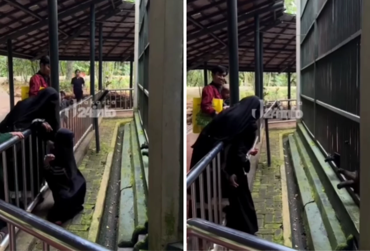 Demi ambil anggur, anak di ragunan hampir diseret monyet karena lewati pagar pembatas