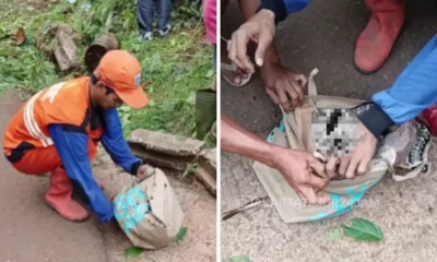 Geger! warga cipayung temukan bayi hidup di tempat pembuangan sampah