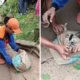 Geger! warga cipayung temukan bayi hidup di tempat pembuangan sampah