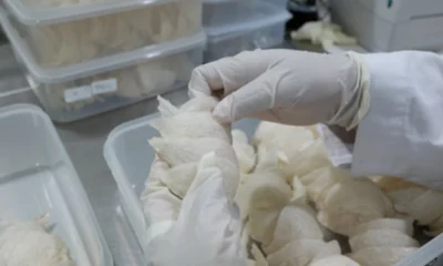 Ipo saham pt abadi lestari indonesia bidik dana hingga rp105 miliar
