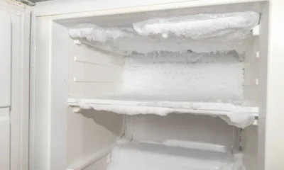 Ibu di jepang simpan jenazah anaknya selama 20 tahun di freezer, kok bisa