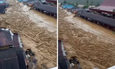 Kayu gelondongan hanyut saat banjir bandang di sumut