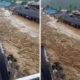Kayu gelondongan hanyut saat banjir bandang di sumut