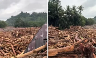 Kemenhut selidiki sumber gelondongan kayu yang terseret banjir di sumatra