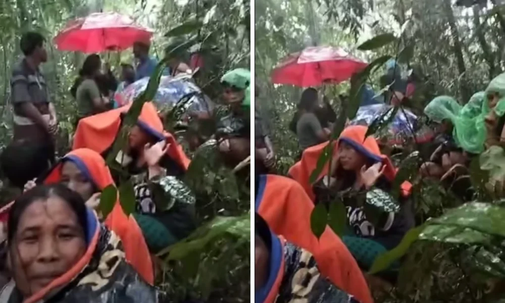 Momen menegangkan! puluhan warga terjebak di dalam hutan saat banjir bandang terjang tapanuli tengah