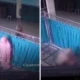 Ngaku dirasuki jin, pria di lampung lecehkan dan aniaya wanita saat salat di masjid