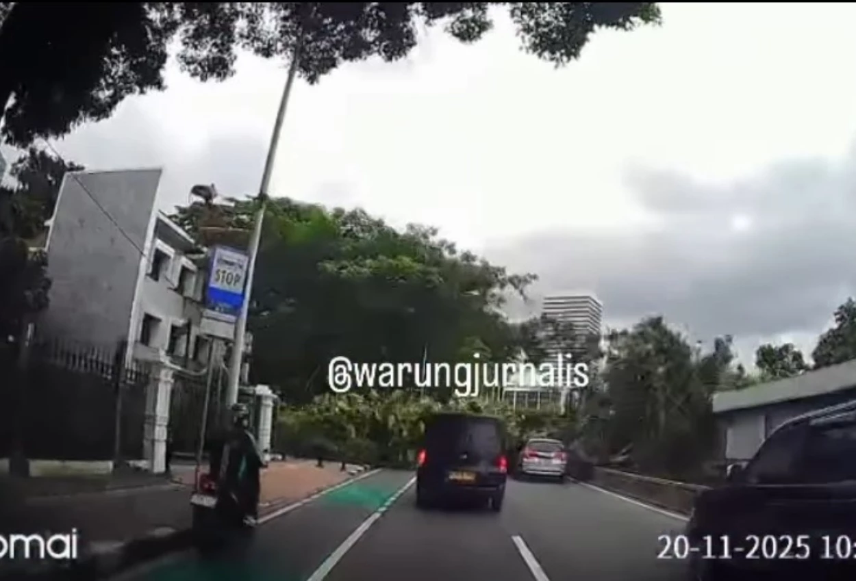 Pohon tumbang di jalan sisingamangaraja timpa mobil, mrt hingga transjakarta terganggu