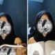 Polisi selidiki viralnya kasus wanita tanpa busana yang hina hingga ludahi al quran