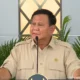 Prabowo minta tak ribut ribut soal whoosh