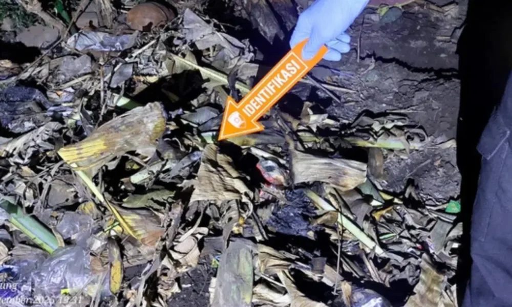 Sering jadi bahan gosip, ibu di banyuwangi tega kubur anaknya yang baru lahir