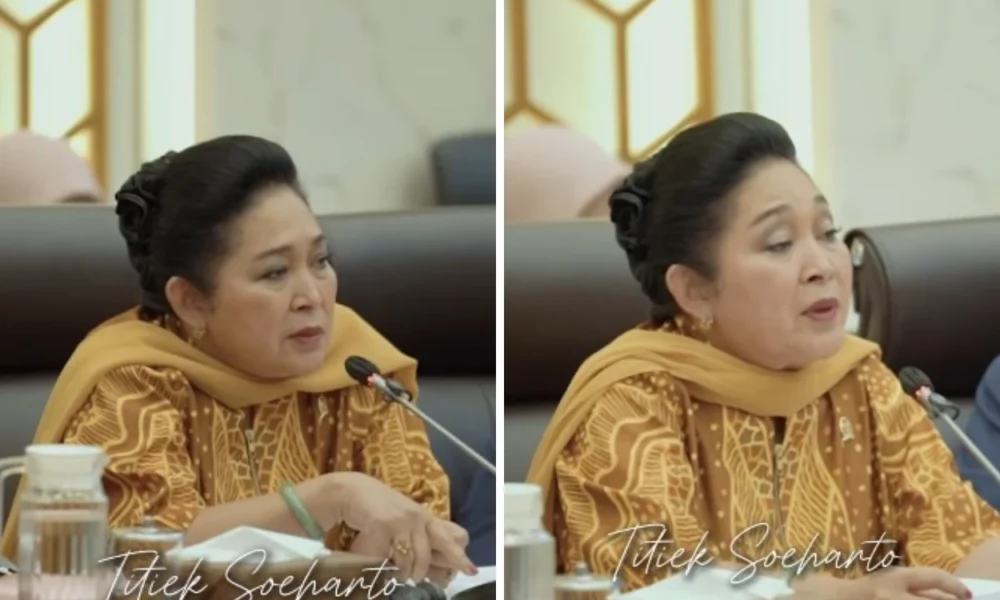 Titiek soeharto perintahkan mentan amran ini soal 250 ton beras ilegal masuk aceh