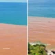 Viral! air laut di pantai baron berubah jadi 2 warna, apa penyebabnya
