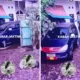 Viral! mobil tabrak sekelompok anak yang sedang asyik bermain di jaktim