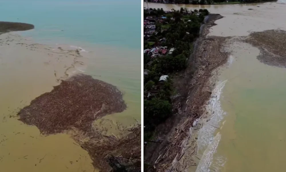 Viral! penampakan lautan gelondongan kayu di pantai parkit usai banjir