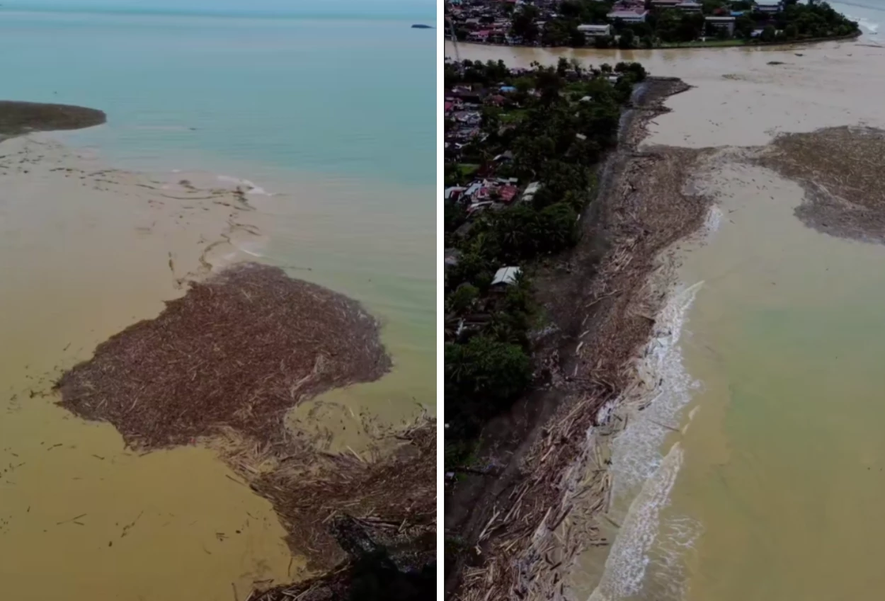 Viral! penampakan lautan gelondongan kayu di pantai parkit usai banjir