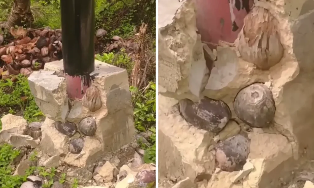 Viral! pondasi tiang listrik di sambas rusak, isi corannya ada kelapa dan serabut