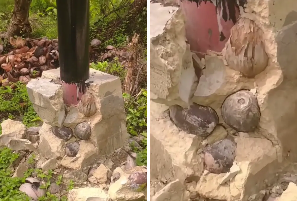 Viral! pondasi tiang listrik di sambas rusak, isi corannya ada kelapa dan serabut