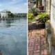 Viral! tanggul pantai mutiara bocor, rembesan air laut basahi area perumahan