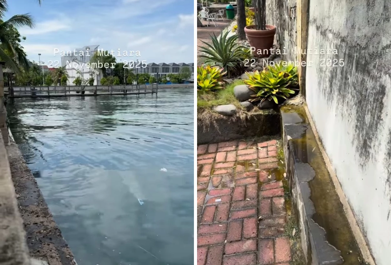 Viral! tanggul pantai mutiara bocor, rembesan air laut basahi area perumahan