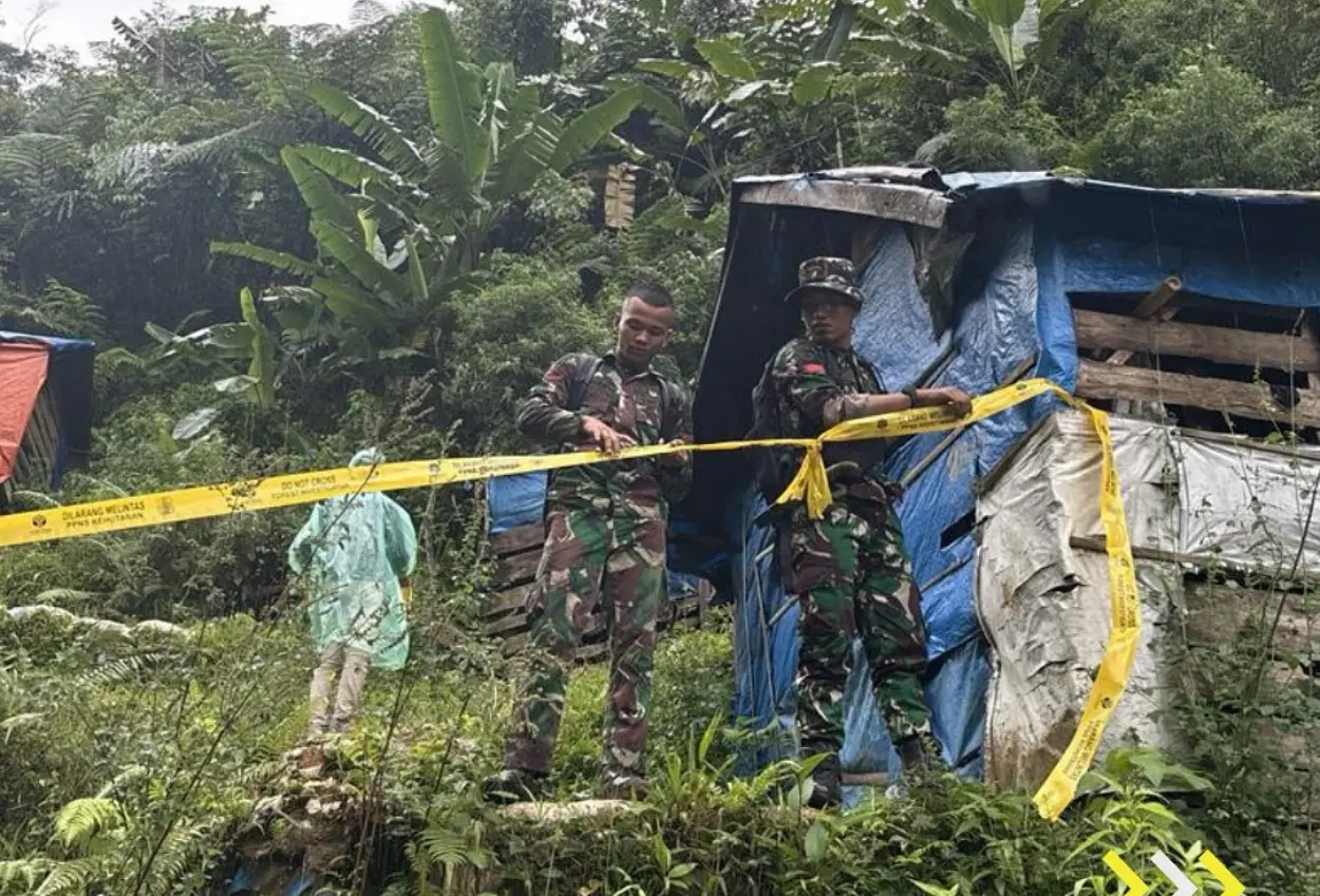Waduh! 411 lubang tambang emas ilegal ditemukan di tn halimun salak