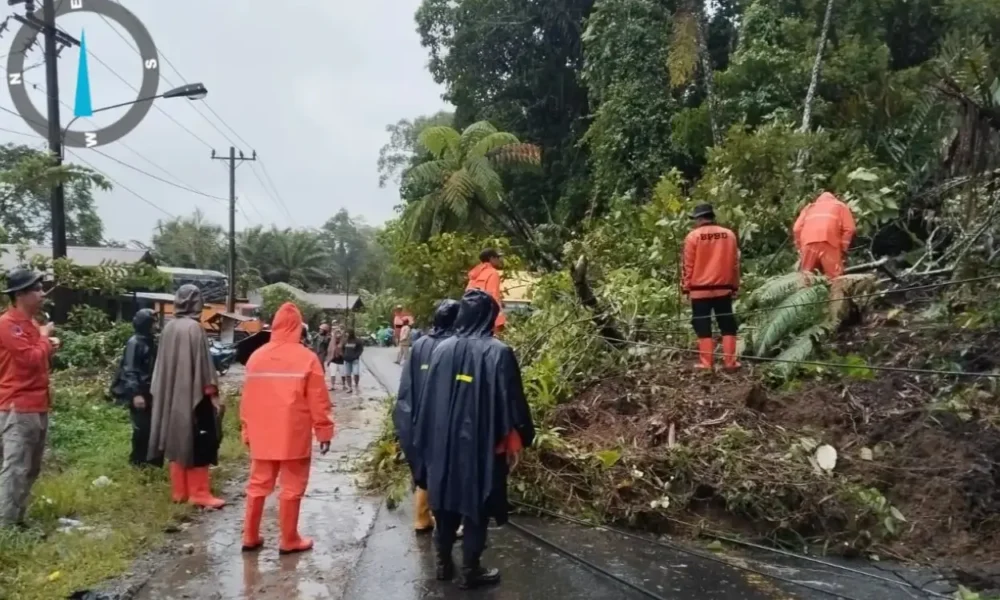Brin tunjuk joko widodo sebagai ketua task force bencana sumatra