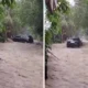Banjir terjang karangasem bali, mobil terseret dan puluhan rumah terdampak