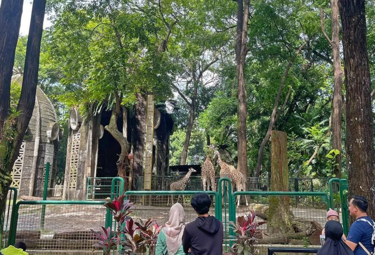 Dishub dki jakarta bakal terapkan one way di ragunan saat libur nataru