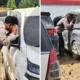 Kapolres aceh tamiang mulai cek mobil terdampak banjir, pastikan tak ada korban yang terjebak di dalam