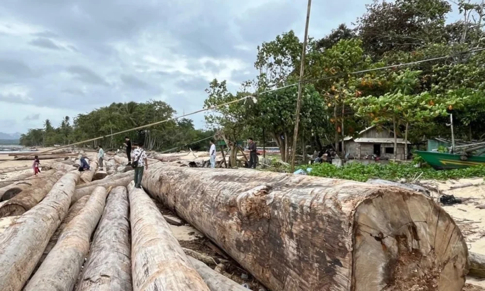 Kemenhut kayu yang berstiker kementerian di lampung bukan hanyut dari banjir sumatra