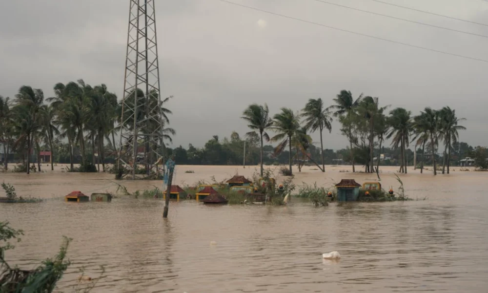 Kementerian lh panggil 8 perusahaan yang diduga jadi biang kerok banjir sumatra