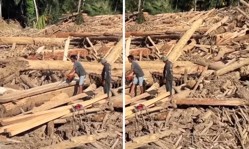 Menhut minta bantuan polri usut kasus kayu gelondongan pemicu bencana di sumatra