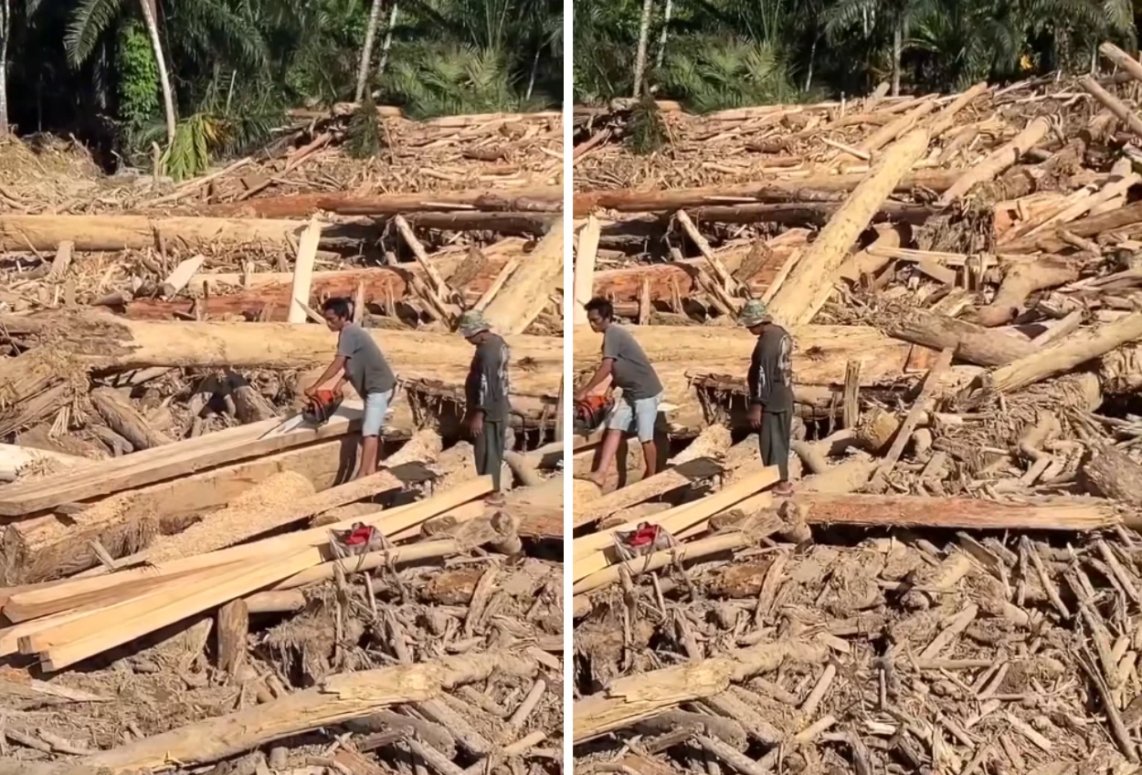 Menhut minta bantuan polri usut kasus kayu gelondongan pemicu bencana di sumatra