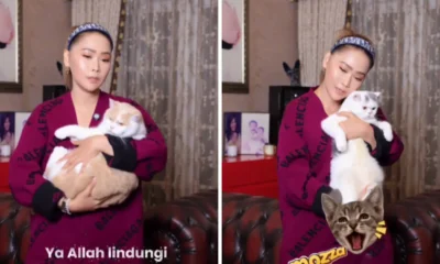 Momen lucu inul daratista nyanyikan kucingnya pakai lagu bilqis