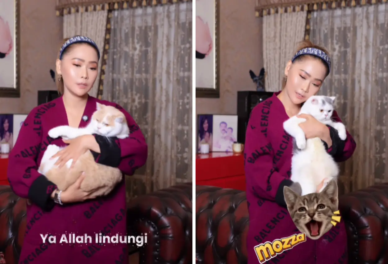 Momen lucu inul daratista nyanyikan kucingnya pakai lagu bilqis