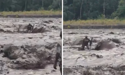 Momen menegangkan! penambang pasir terjebak banjir lahar semeru di tengah sungai