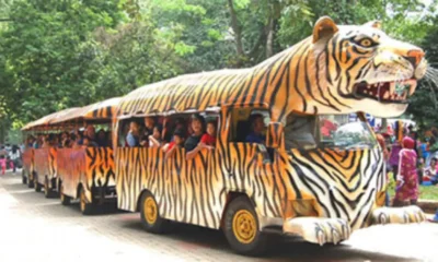 Pengunjung ragunan tembus 50 ribu orang