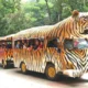 Pengunjung ragunan tembus 50 ribu orang