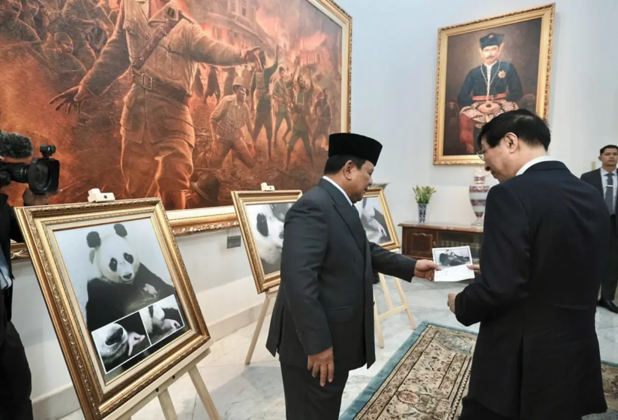 Prabowo pamer bayi panda yang baru lahir saat dikunjungi ketua mpr china