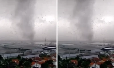 Puting beliung terjang ancol, beberapa pohon tumbang