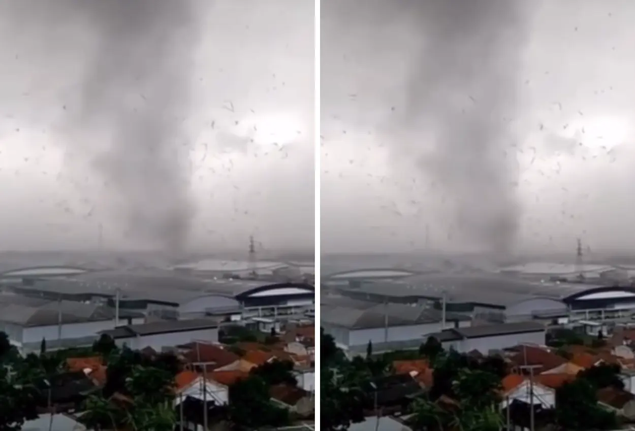 Puting beliung terjang ancol, beberapa pohon tumbang