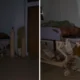Rsud di aceh tamiang gelap gulita dipenuhi lumpur, bayi baru lahir dan lansia terjebak tanpa listrik