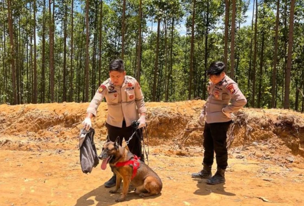 Reno, anjing k 9 gugur saat cari korban bencana di agam sumbar