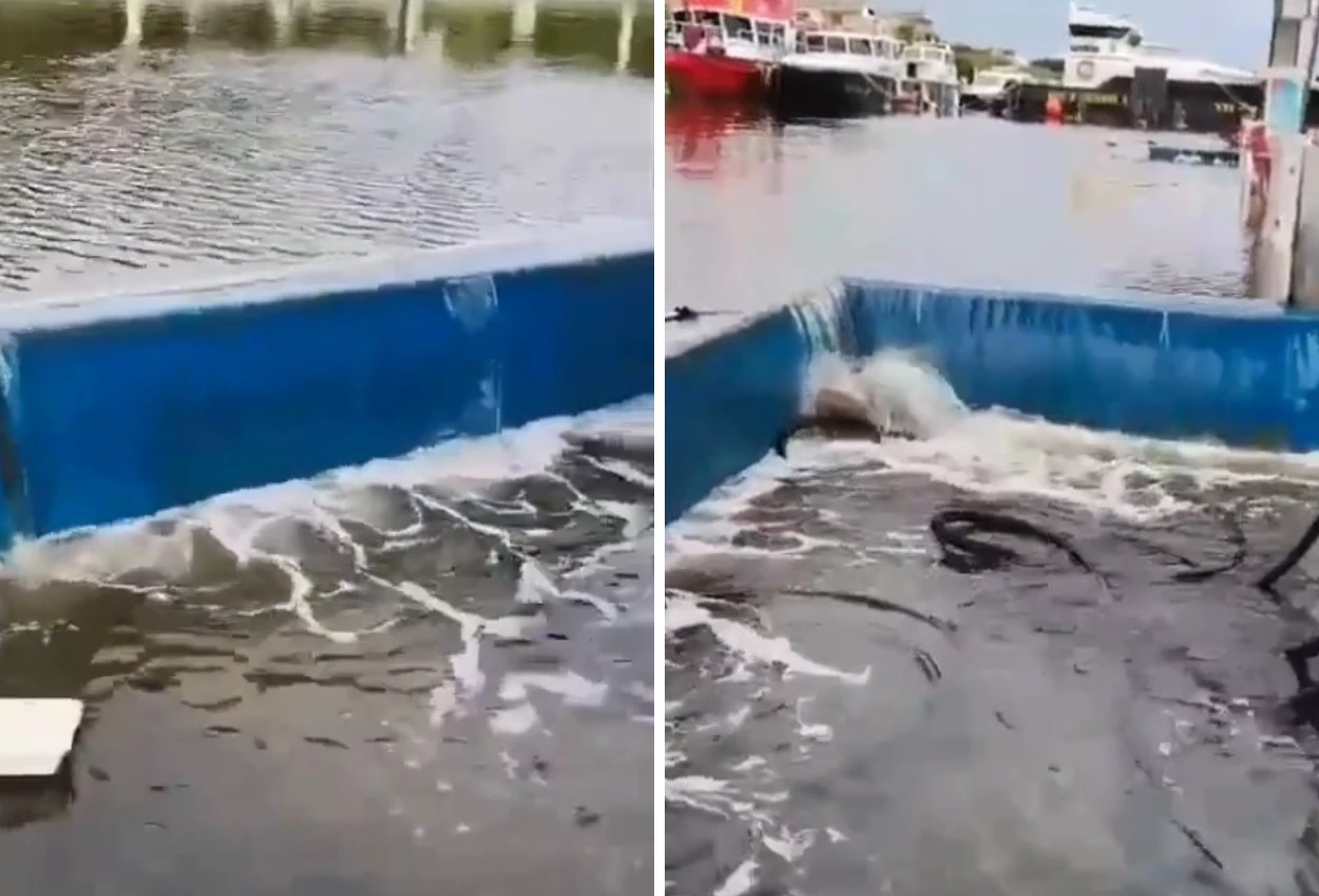 Sempat terdampak banjir rob, operasional ancol tetap buka untuk pengunjung!